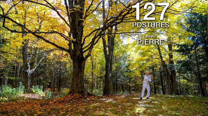 Les 127 postures avec Pierre Boogaerts